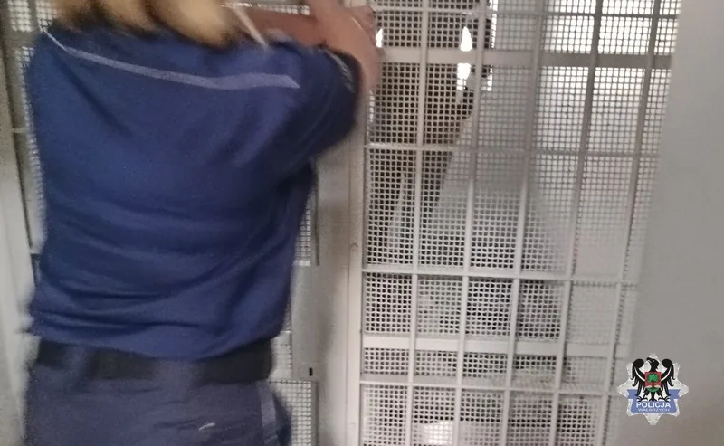 Zatrzymanie 25-latka za kradzież rozbójniczą w Wałbrzychu