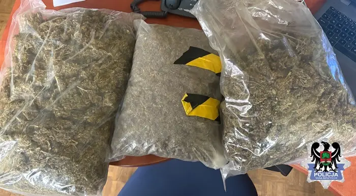 Zatrzymanie 31-latka z marihuaną o wadze ponad 2,6 kg przez wałbrzyską policję