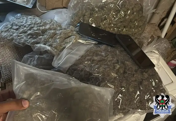 Policjanci w Wałbrzychu zabezpieczyli ponad 1,7 kg narkotyków. Jeden z zatrzymanych trafił do aresztu