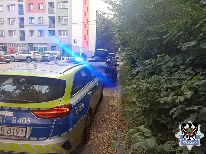 Zatrzymania dwóch kierujących pod wpływem alkoholu i narkotyków