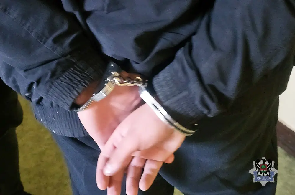 Zatrzymanie sprawcy kradzieży w Wałbrzychu dzięki działaniom policji