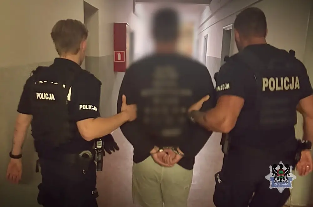 Sześć osób zatrzymanych przez policję, pięć trafiło do aresztu