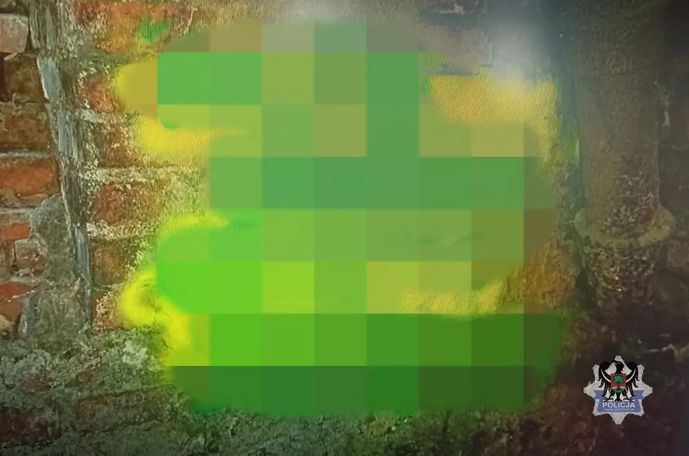Dwie osoby staną przed sądem za zniszczenie mienia